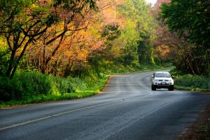 Car driving down back road